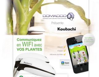 Plantes-Koubachi
