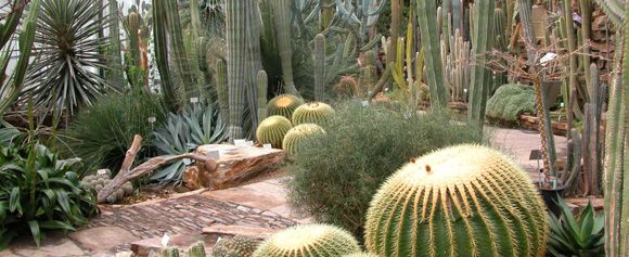 Le Jardin Botanique De Berlin L Un Des Plus Grands Au Monde Le