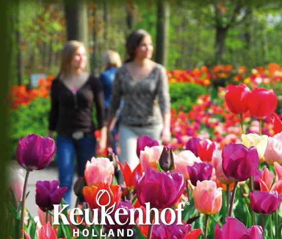حدائق الكوكينهوف.. الهولندية