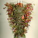 Coupe_espoir_interflora_001