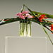 Coupe_espoir_interflora_004