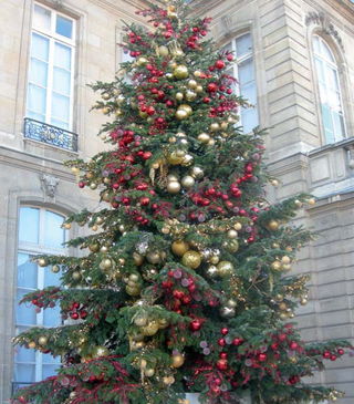 Sapin-elysee