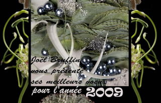 Voeux-2008-JB