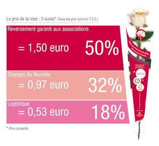 تسرب الترباس حربة Une Rose Prix Psidiagnosticins Com