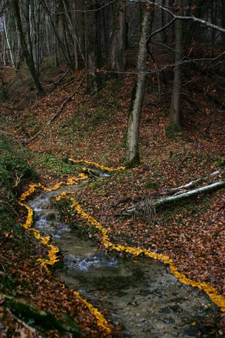 Landart_feuilles-ruisseau