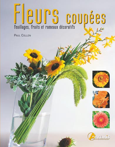 Fleurs coupées