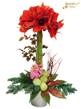 Interflora-REVEILLON