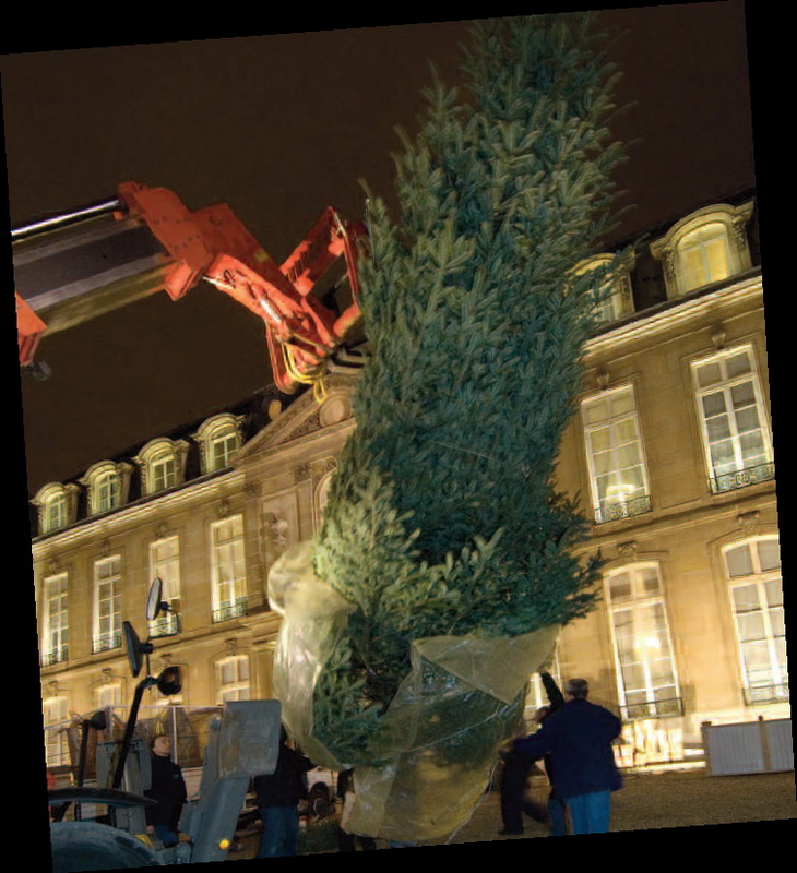 Sapin-elysee-arrivée