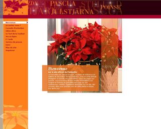 Poinsettia-site