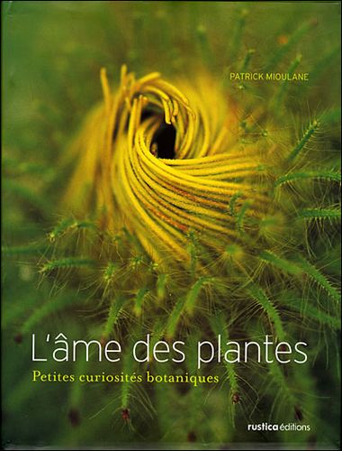 Ame des plantes