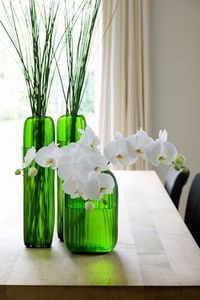 Orchidee_phalaenopsis