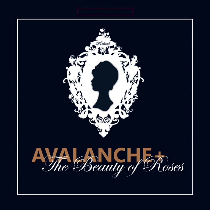 Avalanche_etiquette