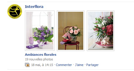 Facebook-interflora-4