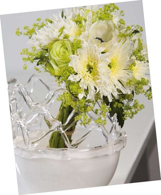 Chrysantheme-blanc