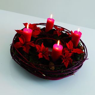 Poinsettia_02