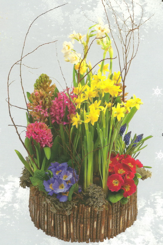 Interflora-hiver-3 001