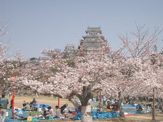 Hanami