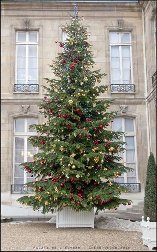 Elysée 2010 - Sapin Extérieur