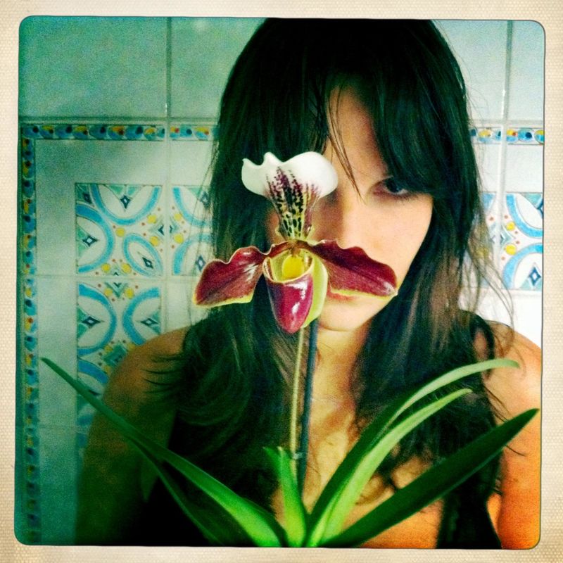 Mon orchidée et moi