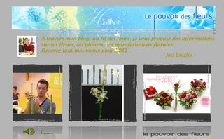 Voeux_pouvoir_fleurs