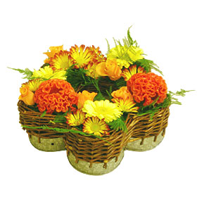 Interflora-orleans_marguerite