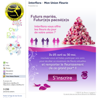Mon_union_fleurie