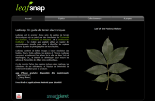 Leaf_snap_capture