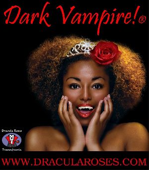 Linssen-roses-Dark-Vampire-