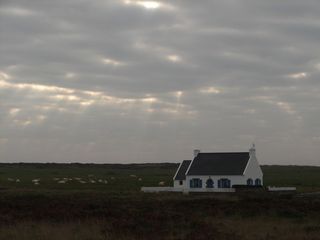 Livraison de fleurs sur l'île de Ouessant par Interflora