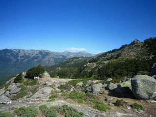 Livraisons de fleurs en Corse avec Interflora