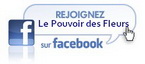 Lien vers ma page facebook