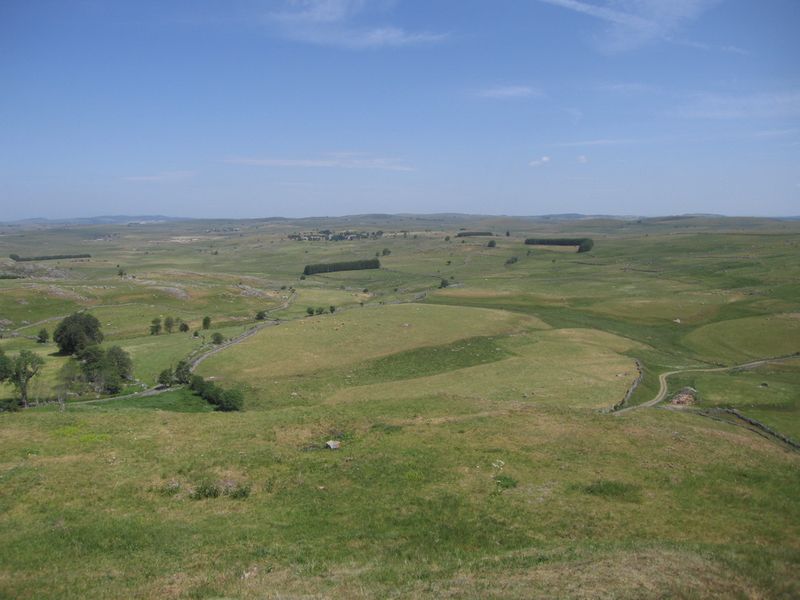 Aubrac_-_Rieutort