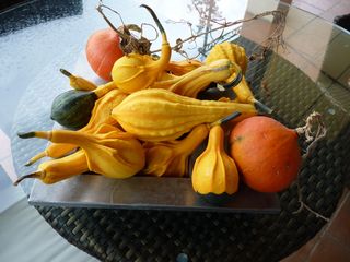 Coloquintes dans une coupe