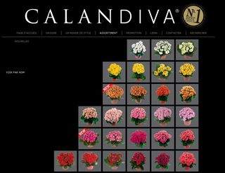 site sur les Calandivas