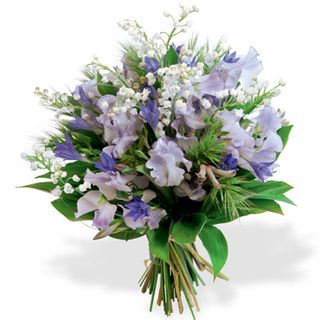 Vente De Muguet à Prix Doux Achat De Muguet Extra Frais