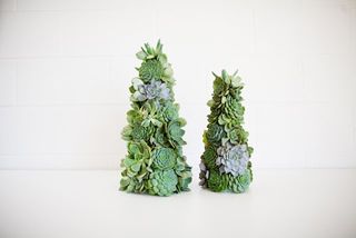 Mariage-plantes-succulentes_02