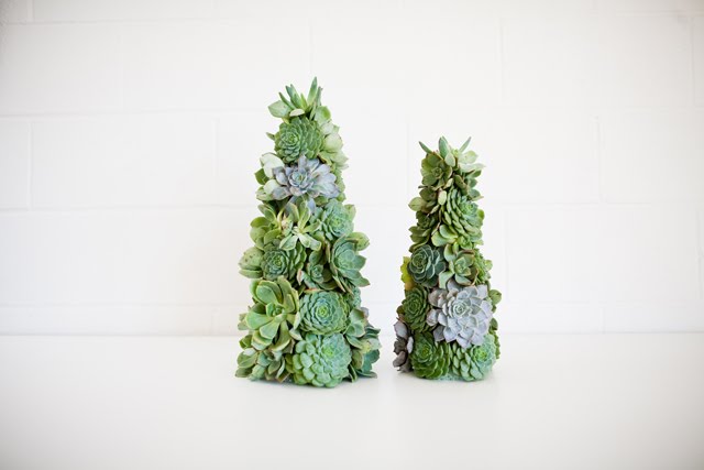Mariage-plantes-succulentes_02