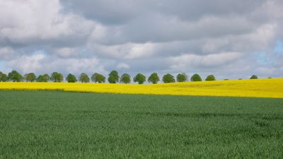 Campagne-printemps