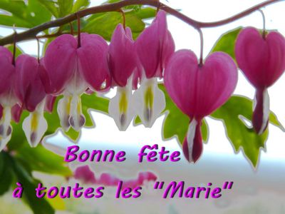 Coeur de Marie pour la Ste marie