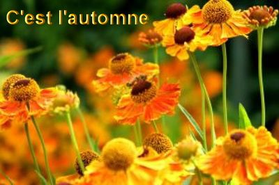 Automne-01