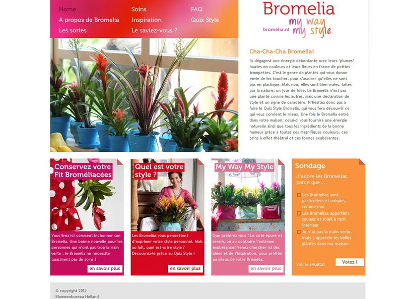 Bromelia