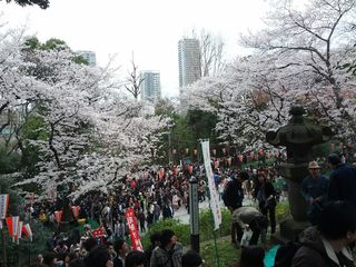 Hanami_Christian-Veer_02