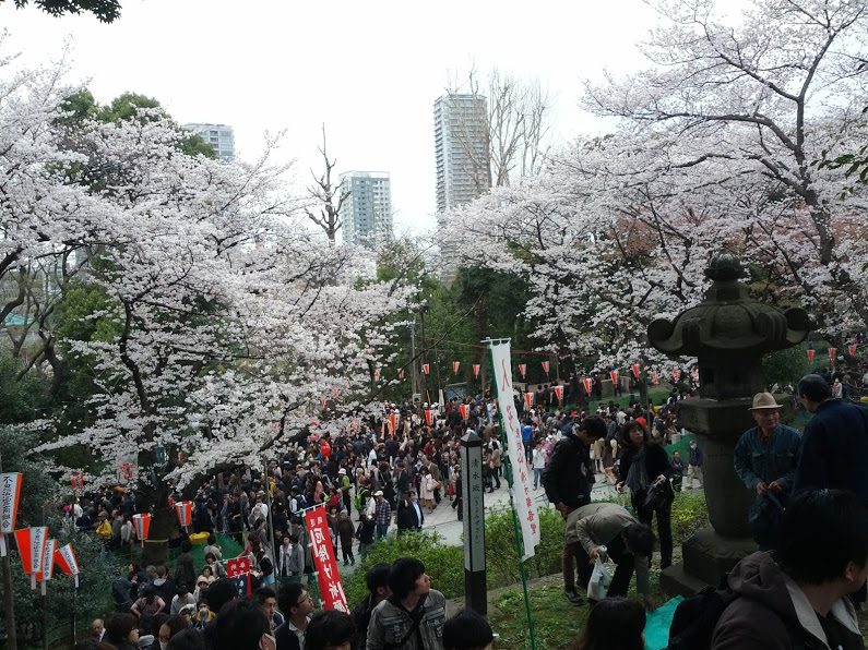 Hanami_Christian-Veer_02