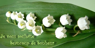 1er mai, fête du muguet - Le pouvoir des fleurs