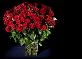 Offrir des roses, combien et comment ? - Le pouvoir des fleurs