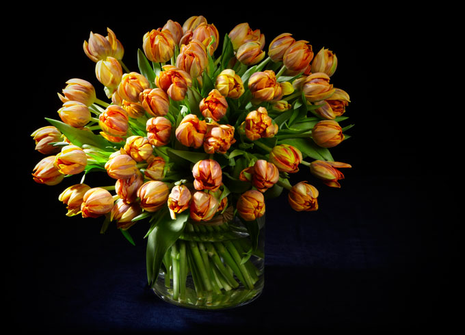 Interflora-tulipes_03