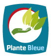 Olante-bleue