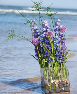 Les Fleurs Dété Arrivent Chez Les Fleuristes Le Pouvoir