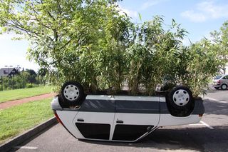 Voiture pot de fleurs