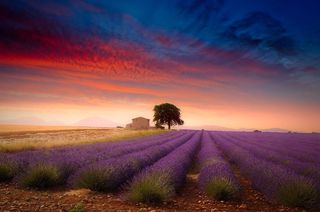 Valensole